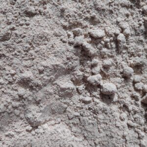 Roasted chana sattu — fine stone-ground Bengal gram flour from Patna