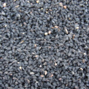 Whole black kalonji nigella seeds close up