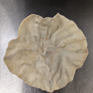 Bihari Urad Papad — large urad dal wafer hand-rolled in Vaishali