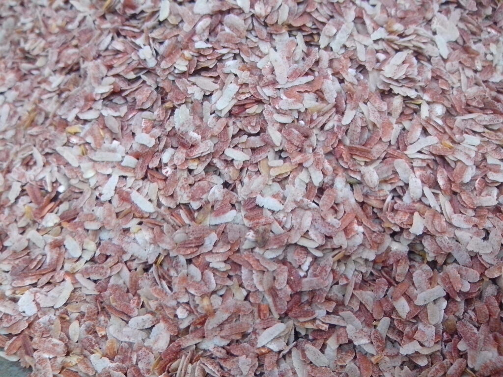 Bowl of Katarni chura flattened rice