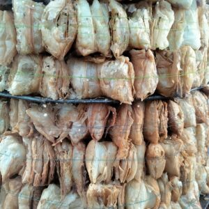 Authentic Silao Khaja layered stack from Silao town, Nalanda Bihar